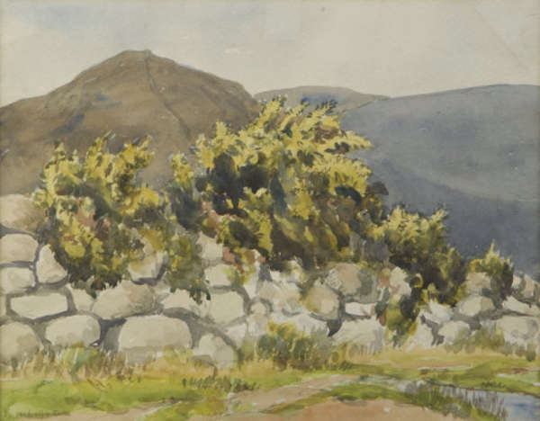 Lot-image