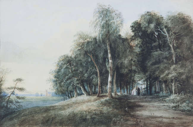 Lot-image