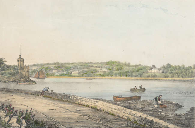 Lot-image