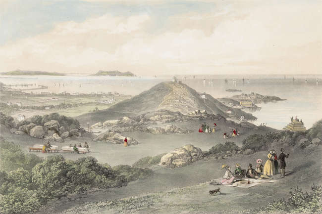 Lot-image